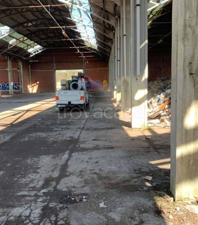 immagine annuncio 5 di 10