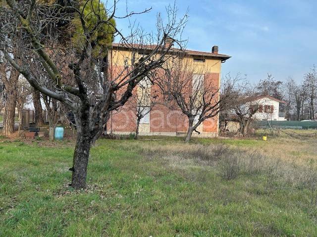 immagine annuncio 2 di 6