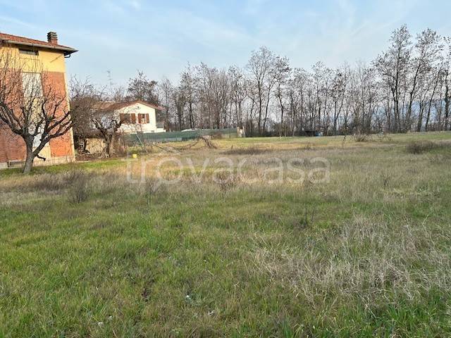 immagine annuncio 5 di 6