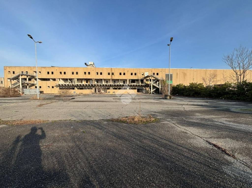 immagine annuncio 1 di 11