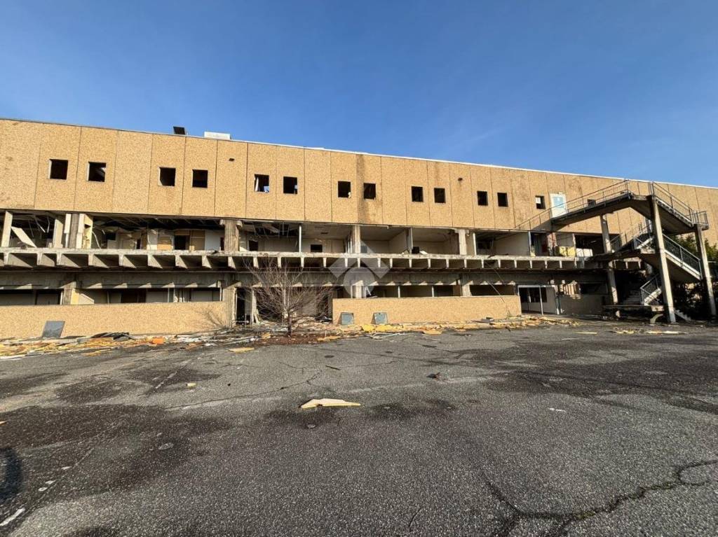 immagine annuncio 2 di 11