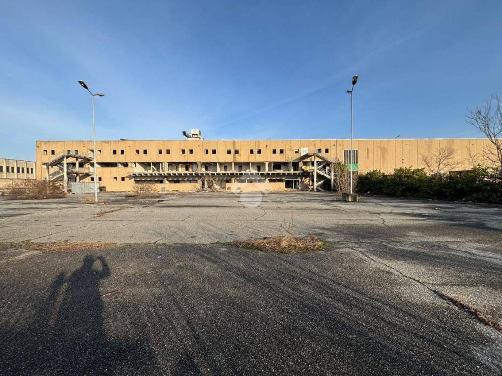 immagine annuncio 3 di 11