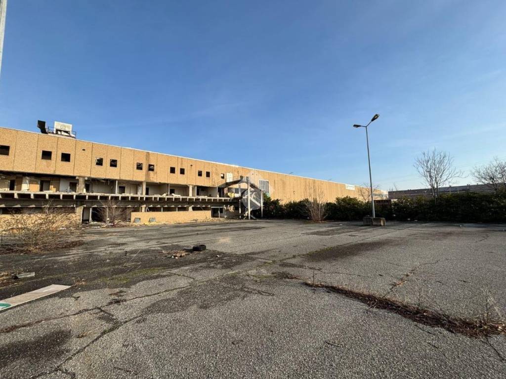 immagine annuncio 6 di 11