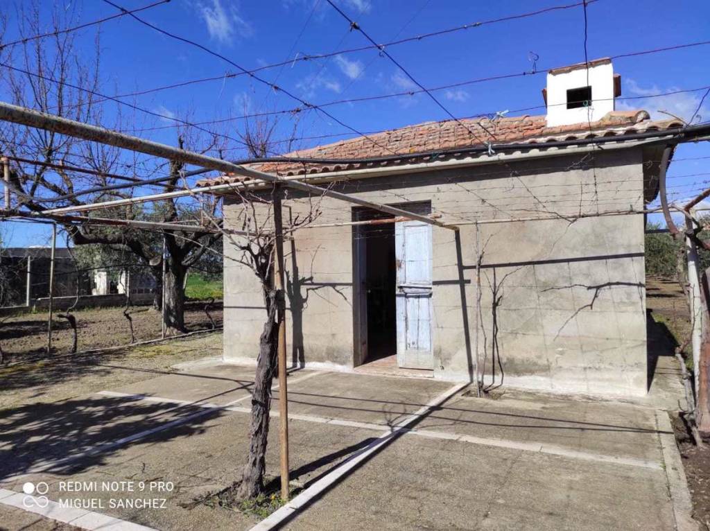 immagine annuncio 2 di 14