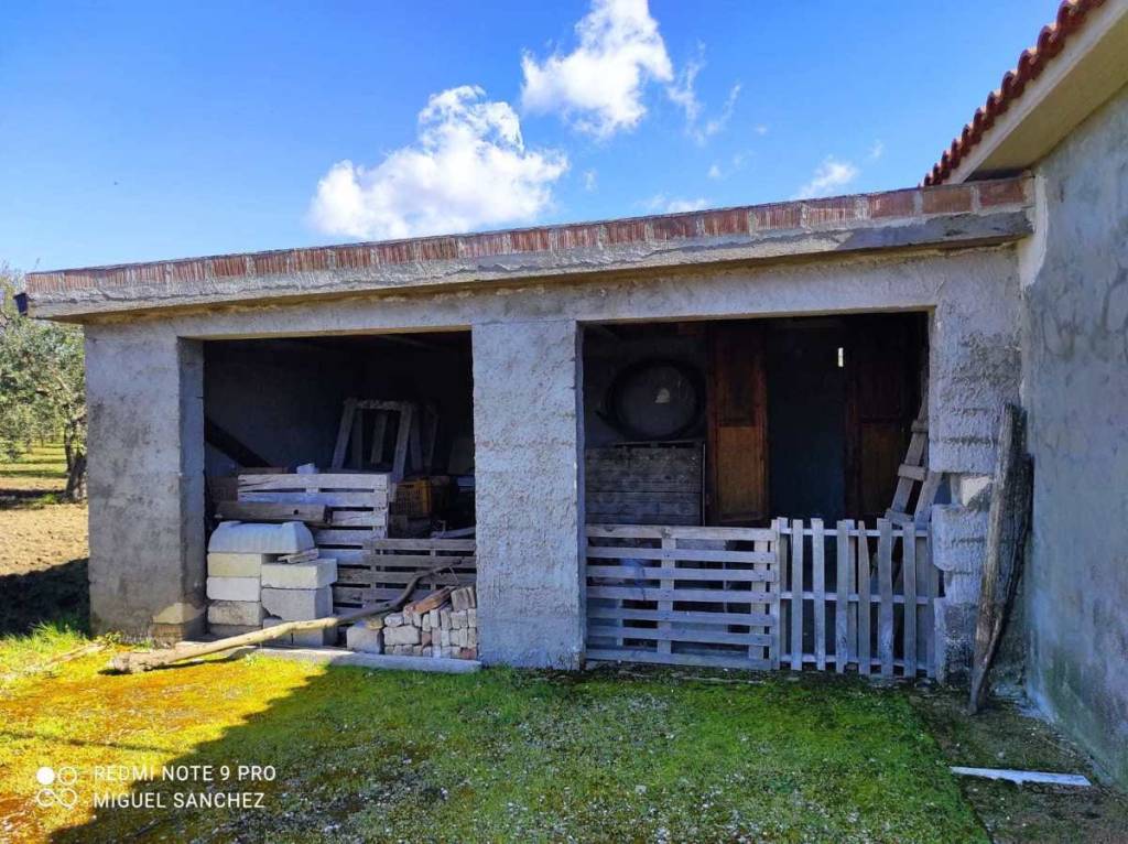 immagine annuncio 7 di 14