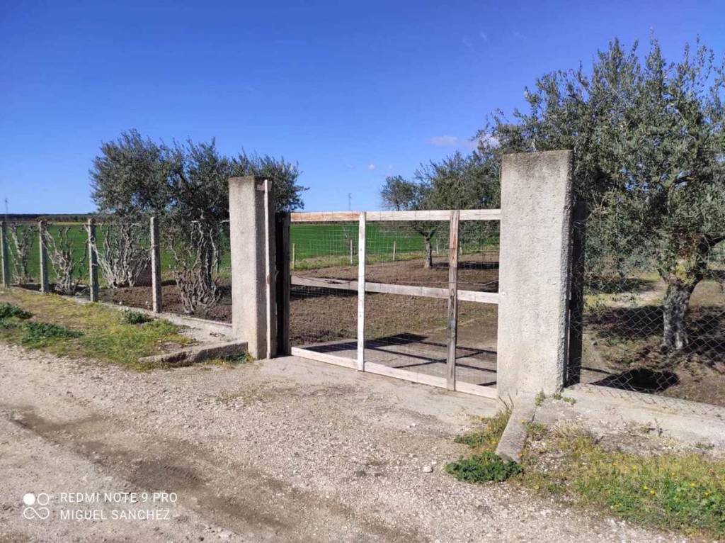 immagine annuncio 9 di 14