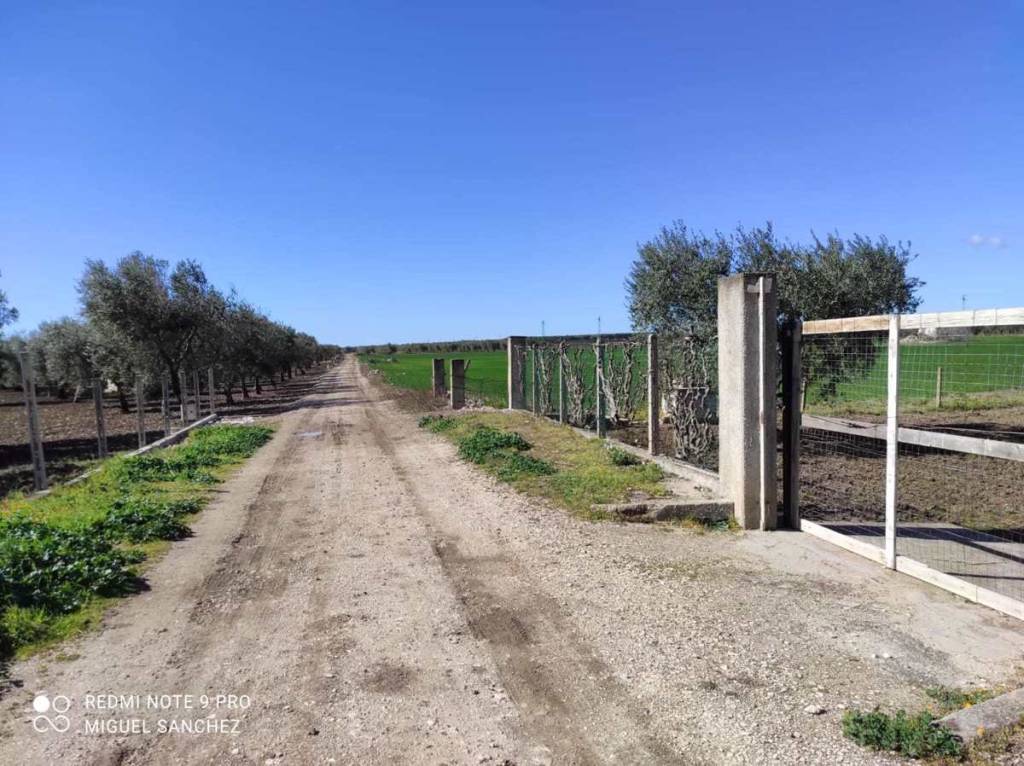 immagine annuncio 10 di 14