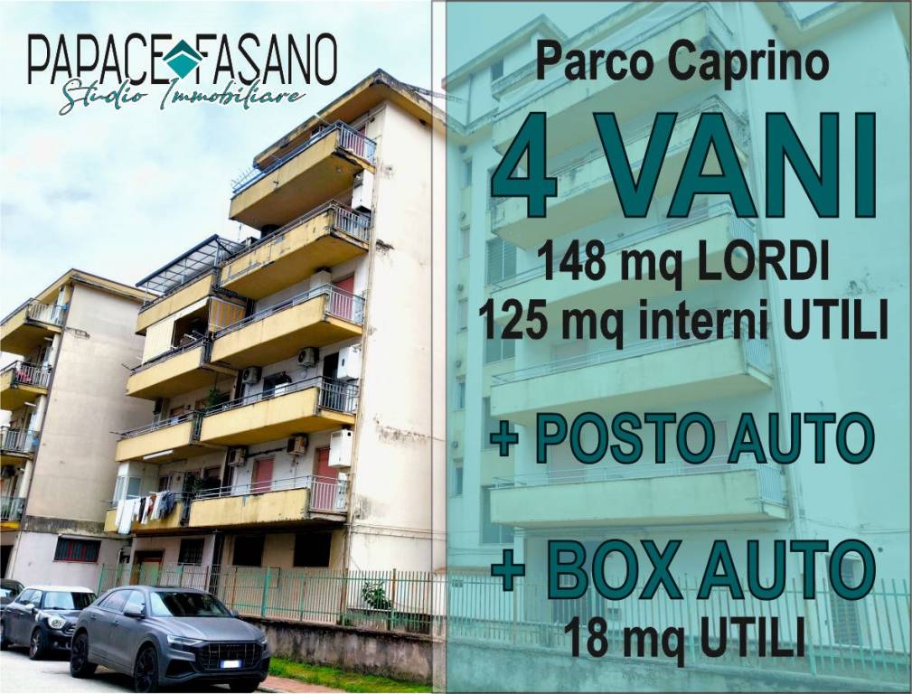 immagine annuncio 6 di 11