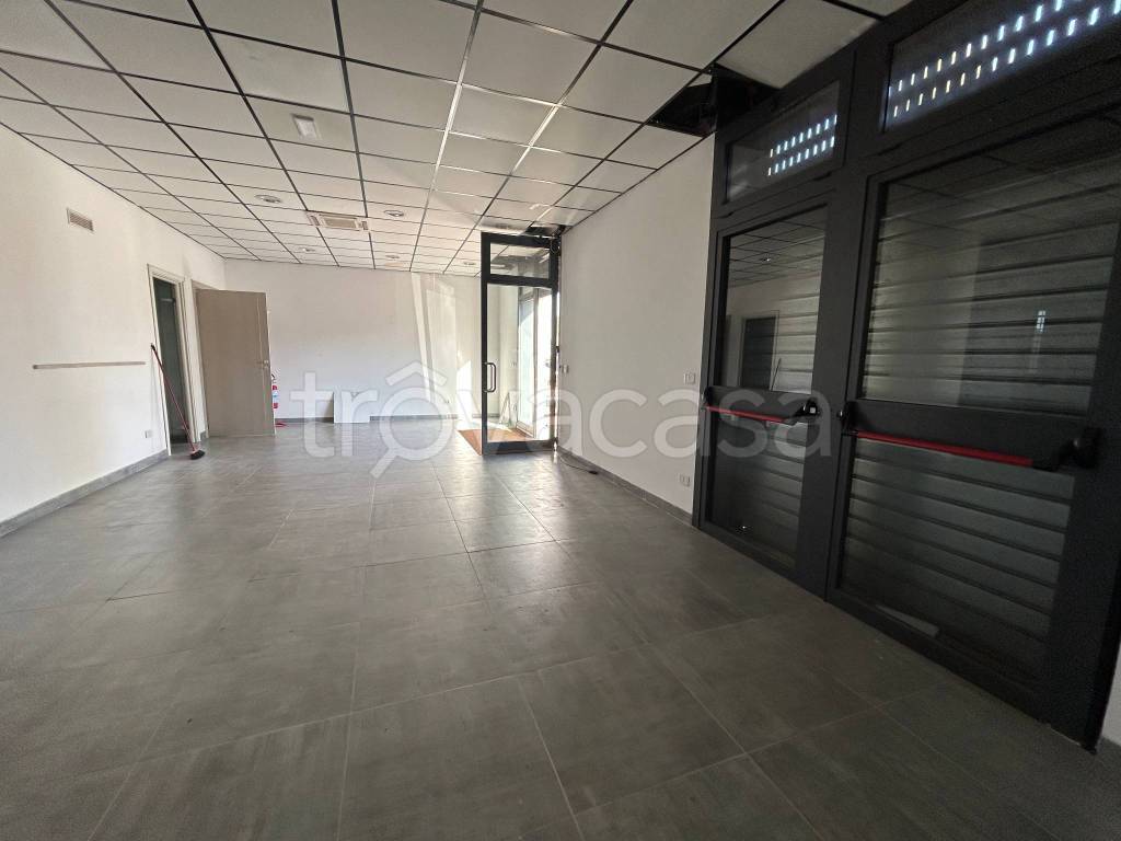 immagine annuncio 3 di 8