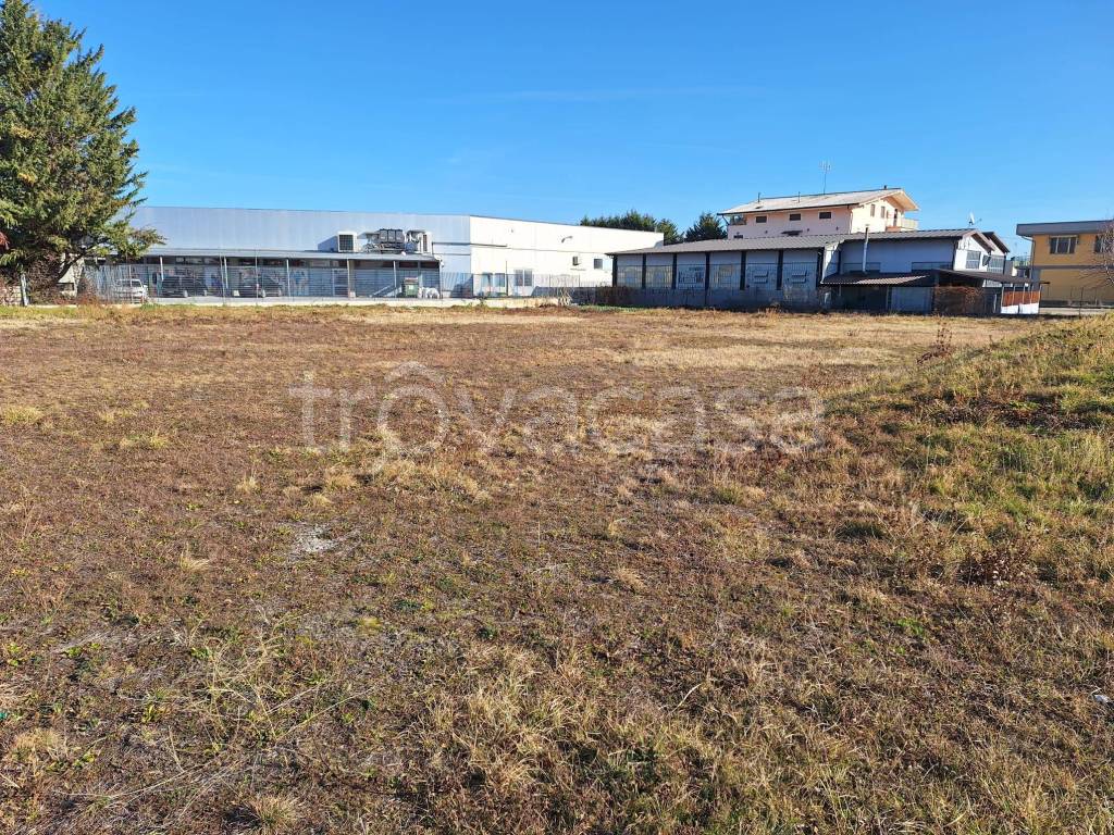 immagine annuncio 4 di 5