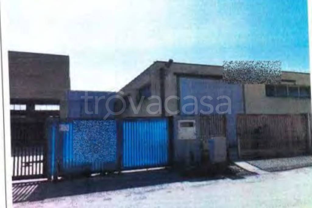 immagine annuncio 2 di 12