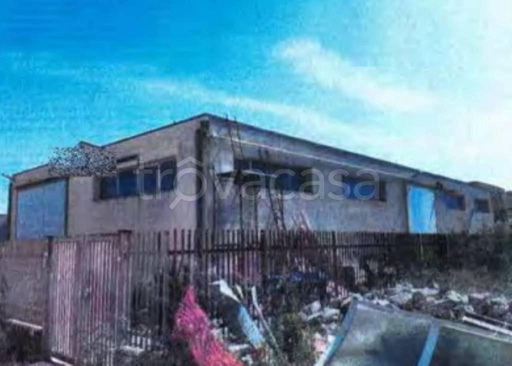 immagine annuncio 4 di 12