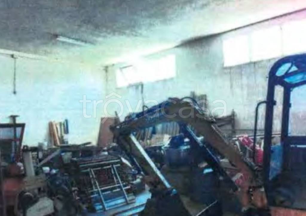 immagine annuncio 7 di 12