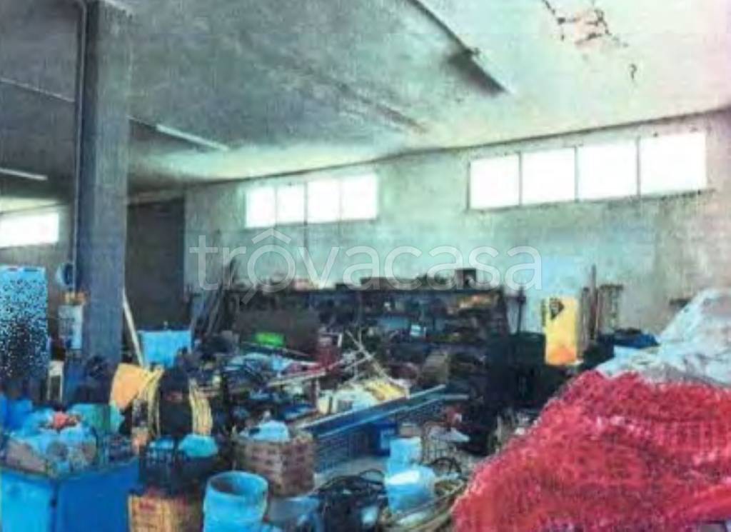 immagine annuncio 9 di 12