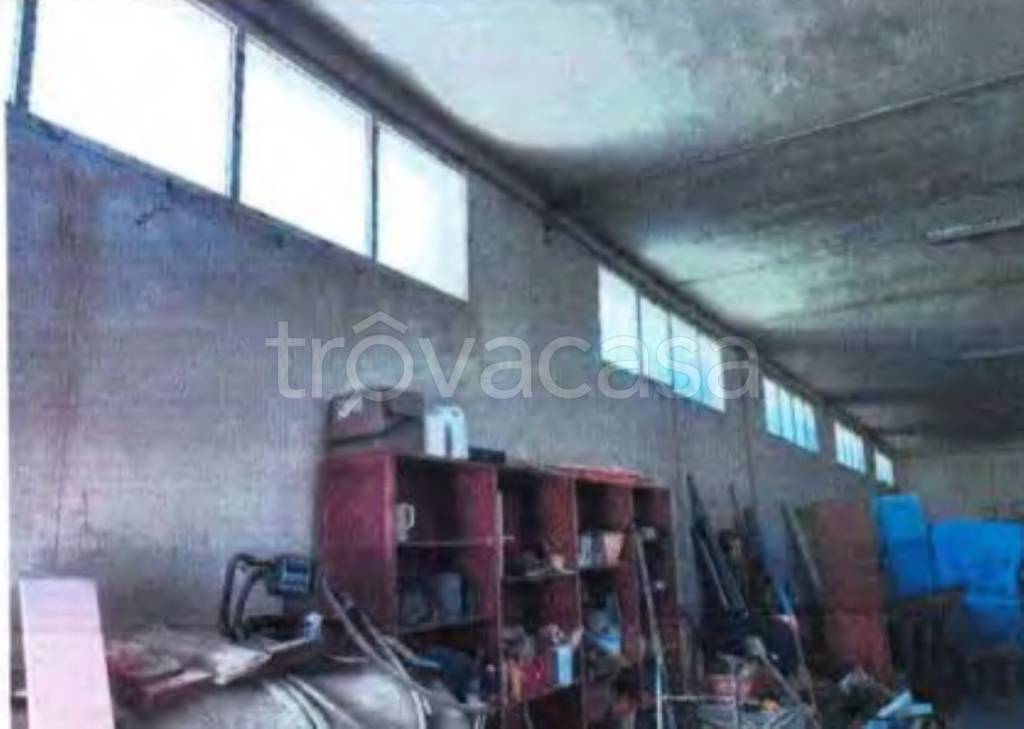 immagine annuncio 10 di 12