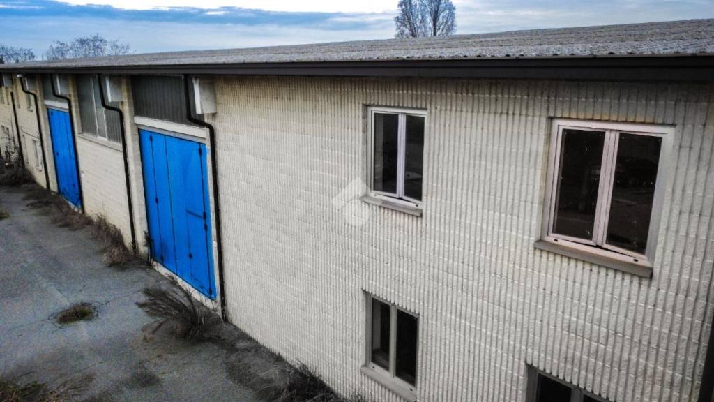 immagine annuncio 2 di 6