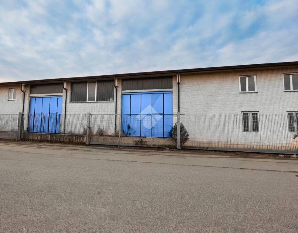 immagine annuncio 3 di 6