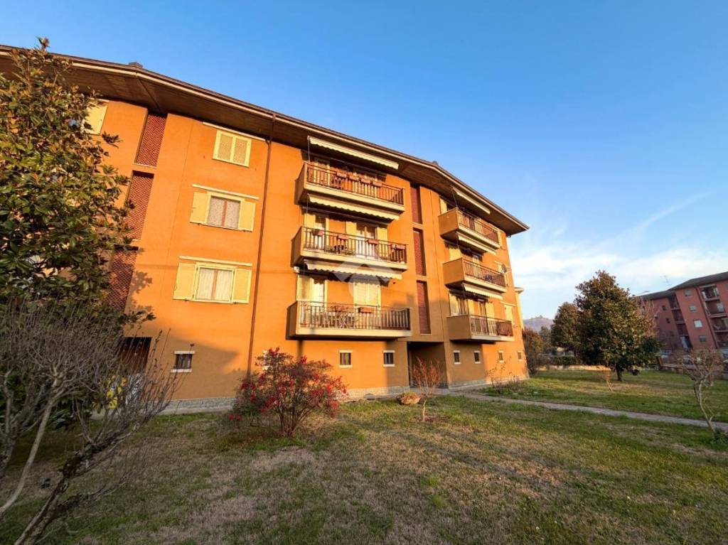 immagine annuncio 1 di 15