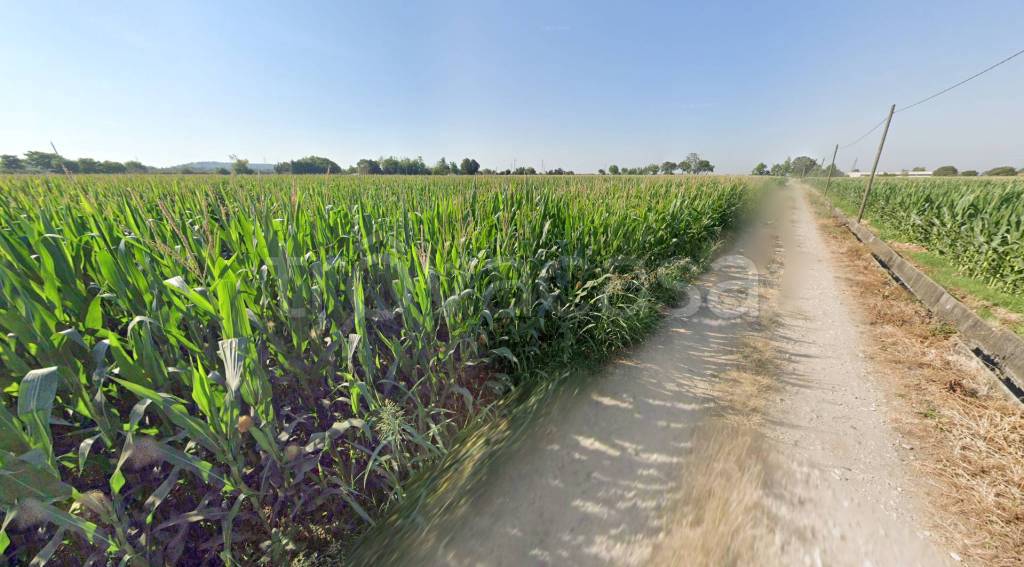 immagine annuncio 4 di 8