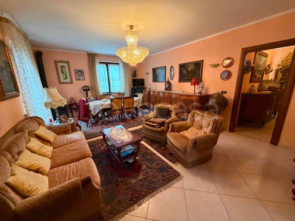 immagine annuncio 8 di 15