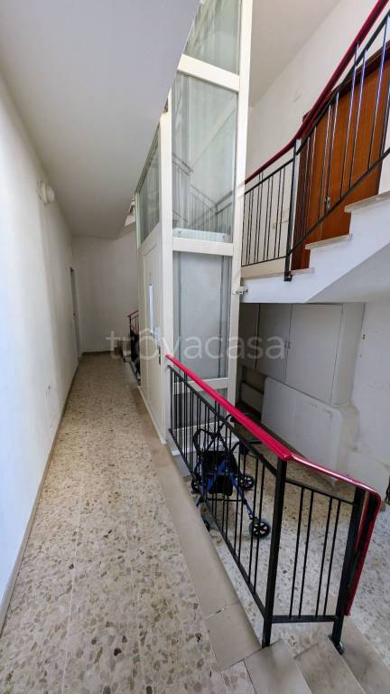 immagine annuncio 12 di 14