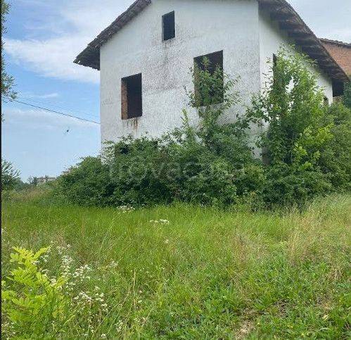 immagine annuncio 4 di 11