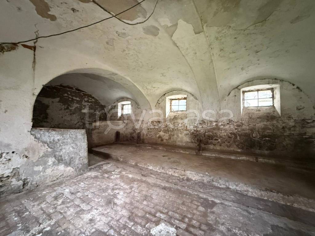 immagine annuncio 12 di 14