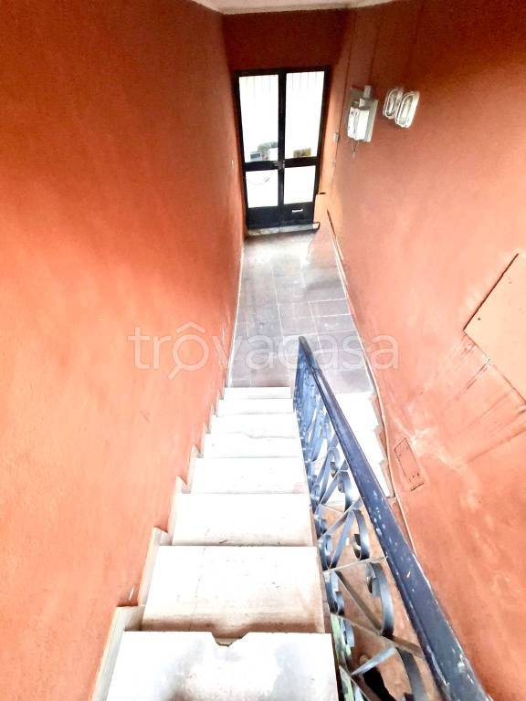 immagine annuncio 12 di 13