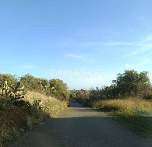 immagine annuncio 7 di 12