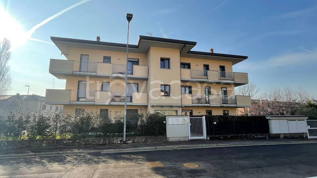 immagine annuncio 12 di 14