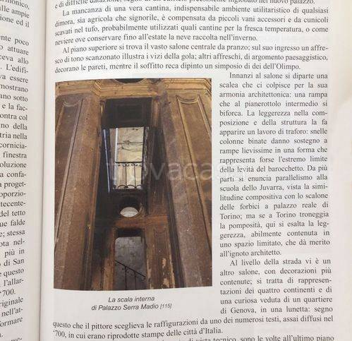 immagine annuncio 6 di 14