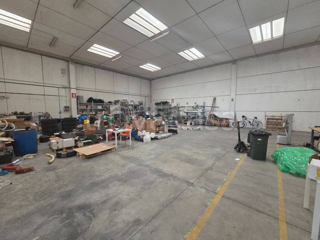 immagine annuncio 2 di 15