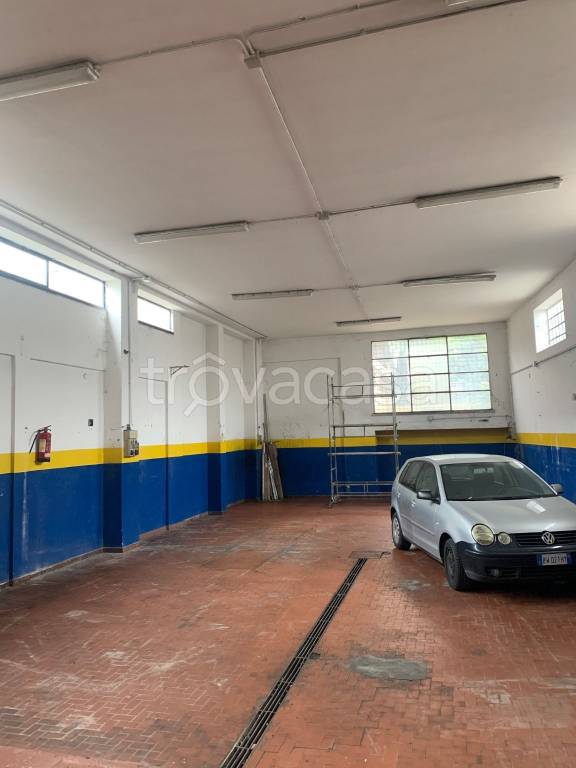 immagine annuncio 1 di 6