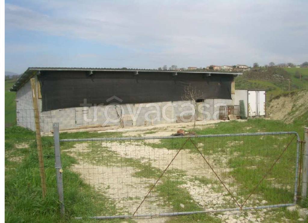 immagine annuncio 2 di 11