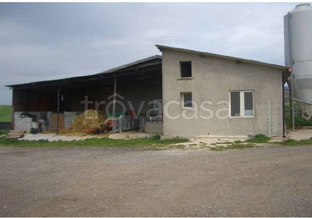 immagine annuncio 4 di 11