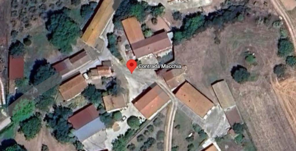 immagine annuncio 8 di 11