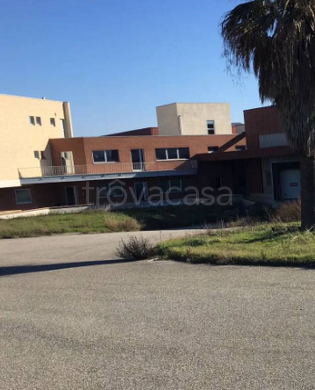 immagine annuncio 4 di 11