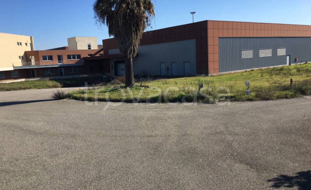 immagine annuncio 5 di 11