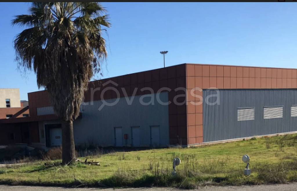 immagine annuncio 7 di 11