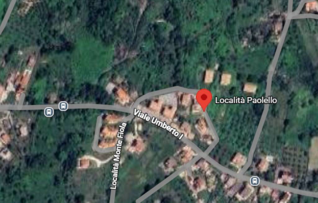 immagine annuncio 7 di 13