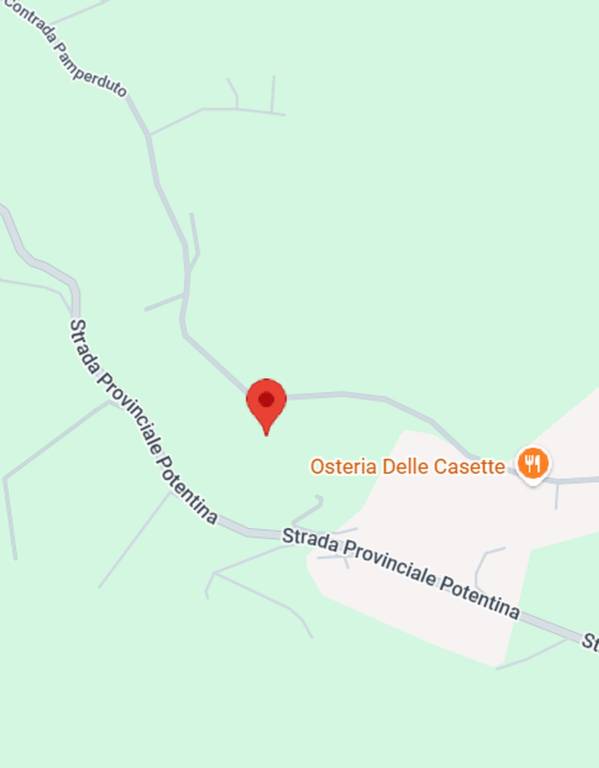 immagine annuncio 10 di 11