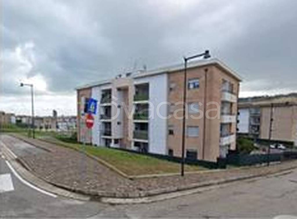 immagine annuncio 8 di 12