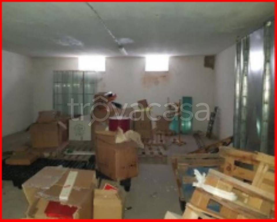 immagine annuncio 5 di 12