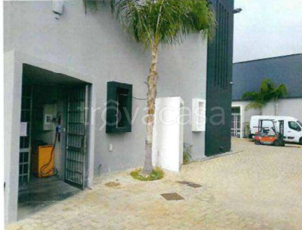 immagine annuncio 8 di 11