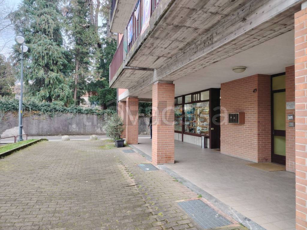 immagine annuncio 7 di 11