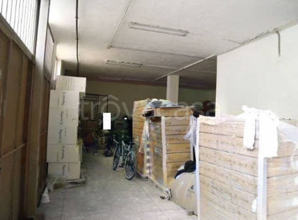 immagine annuncio 4 di 14