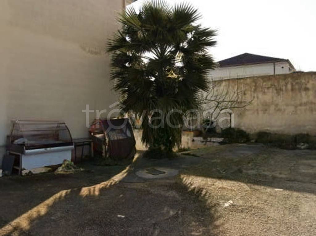 immagine annuncio 6 di 14