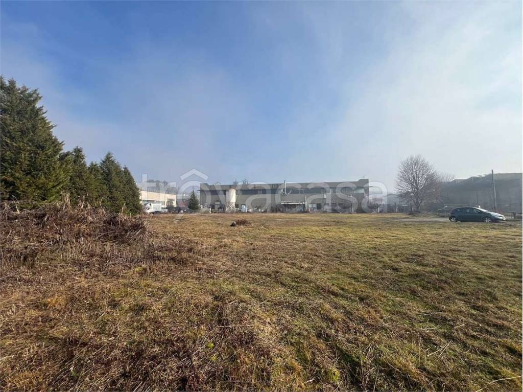 immagine annuncio 2 di 11