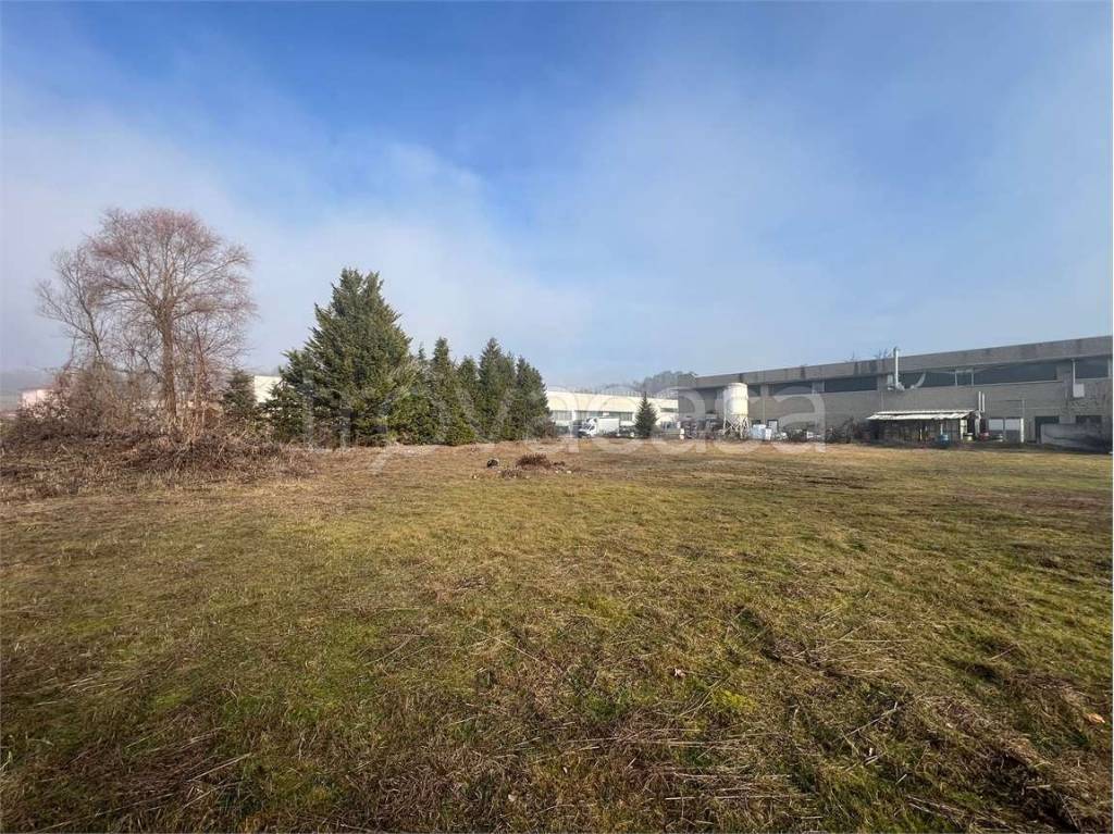 immagine annuncio 3 di 11