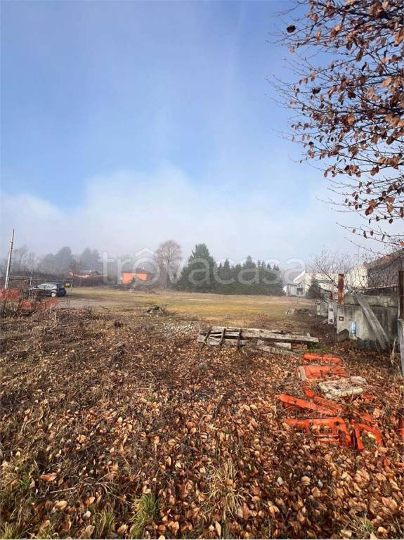 immagine annuncio 4 di 11